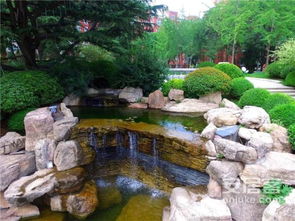 喜訊 致遠翡翠園榮獲山東省園林綠化優質工程獎項