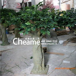 廣東深圳成美仿真秋茄樹生產廠家 園林綠化工程的優質選擇